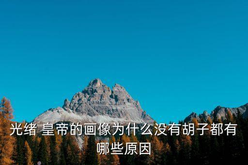 皇帝照片,清朝皇帝畫像曝光有照片為佐證