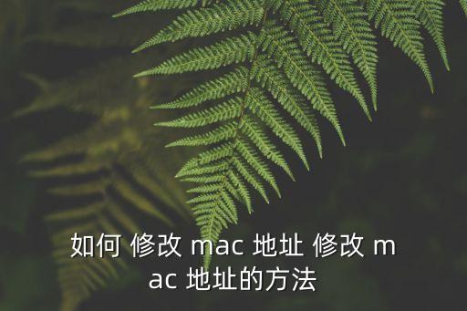 如何 修改 mac 地址 修改 mac 地址的方法