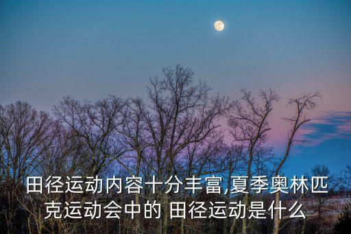 奧運會田徑項目,奧運會的田徑項目有哪些?