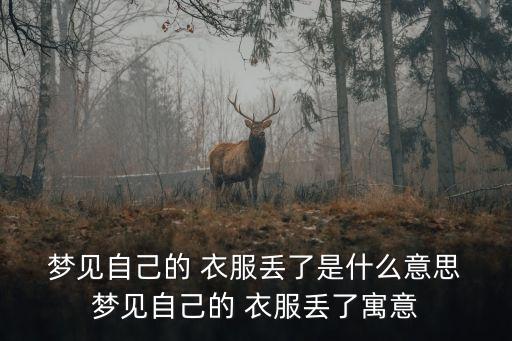 夢(mèng)見衣服丟了,做夢(mèng)夢(mèng)見自己衣服走失你準(zhǔn)備好了嗎?