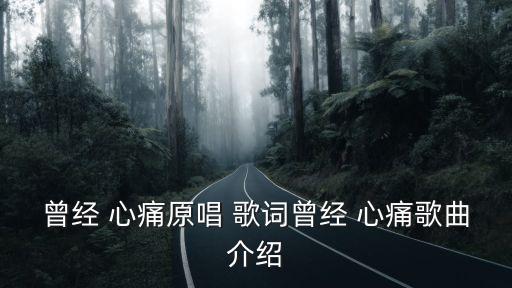 曾經心痛歌詞,《曾心痛》是葉又文演唱歌曲收錄于專輯