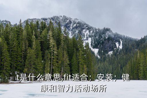 fit是什么意思,fit適合；安裝；健康和智力活動場所