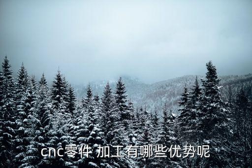 零部件加工,零件加工可選；最便宜也要20多萬元