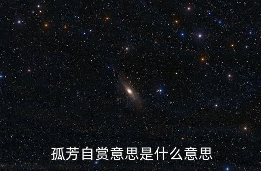  孤芳自賞意思是什么意思