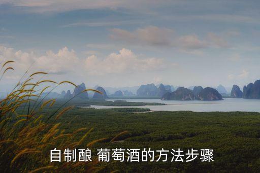  自制釀 葡萄酒的方法步驟