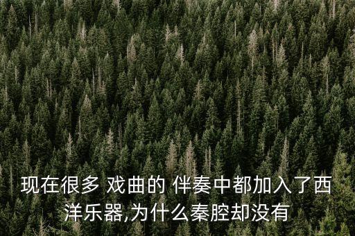 戲曲伴奏,抖音戲曲伴奏沒有聲音是因為聲音權限沒打開
