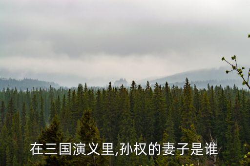 在三國演義里,孫權的妻子是誰