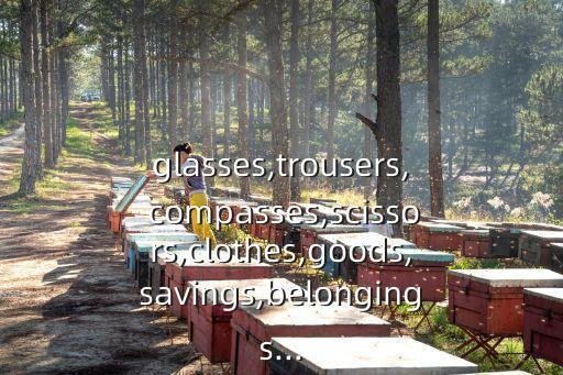glasses,trousers, compasses,scissors,clothes,goods,savings,belongings...