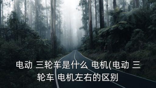 電動 三輪車是什么 電機(電動 三輪車 電機左右的區別
