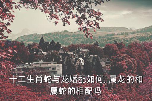 屬龍和屬蛇,屬龍和屬蛇的婚姻