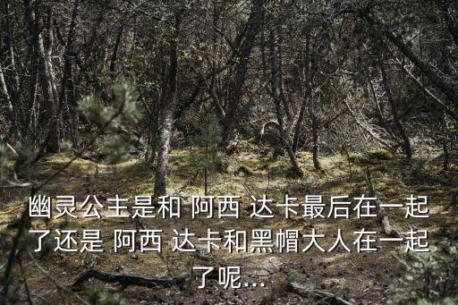 幽靈公主是和 阿西 達卡最后在一起了還是 阿西 達卡和黑帽大人在一起了呢...