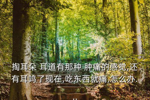 掏耳朵 耳道有那種 腫痛的感覺(jué),還有耳鳴了現(xiàn)在,吃東西就痛,怎么辦...