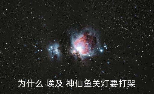 為什么 埃及 神仙魚關燈要打架