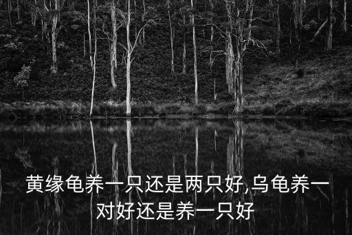 黃緣龜,黃緣龜和安緣龜有什么區別?