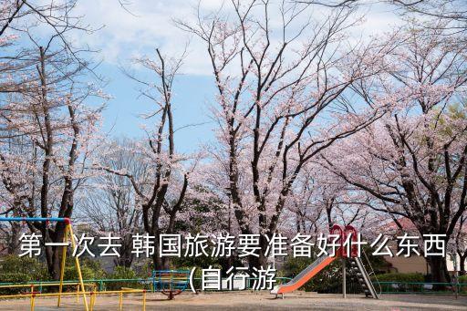 第一次去 韓國(guó)旅游要準(zhǔn)備好什么東西(自行游