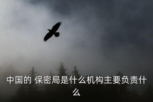 中國保密局,中國國家安全部是中國唯一承認的情報機構