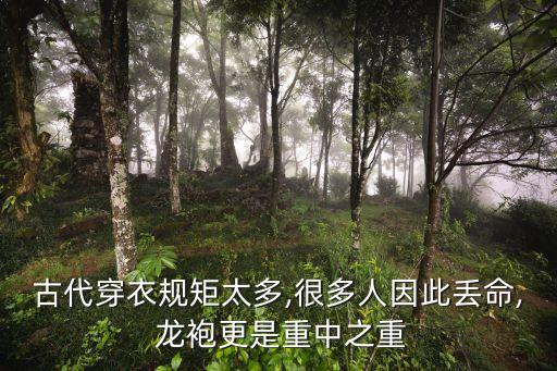 龍袍,龍袍上有幾條龍?清朝乾隆皇帝一件龍袍