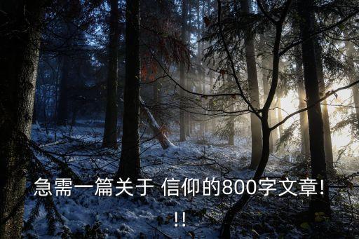 無謂信仰,沒有信仰就等于沒有希望