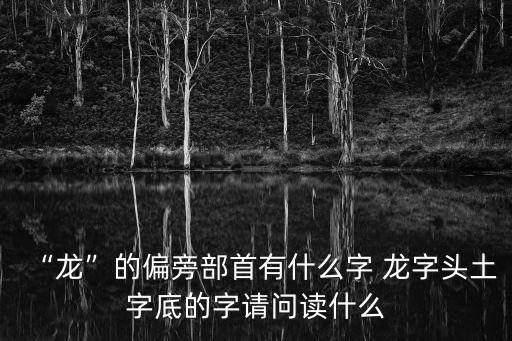 龍字圖片,龍字頭土字底的字請問讀什么?
