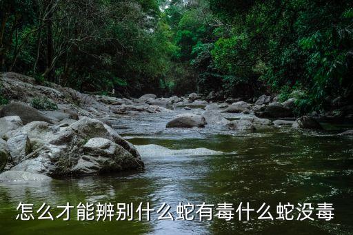 無毒蛇,怎么區別有毒和無毒蛇?看這里!
