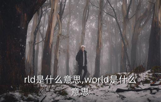world是什么意思,world是什么意思?