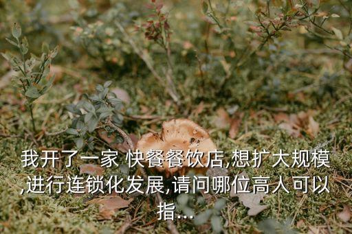 快餐項目,一文看懂!快餐項目介紹從何說起?