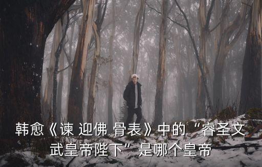 韓愈《諫 迎佛 骨表》中的“睿圣文武皇帝陛下”是哪個(gè)皇帝