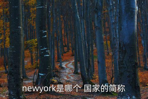 newyork是哪個 國家的簡稱