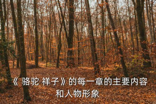 《 駱駝 祥子》的每一章的主要內容和人物形象