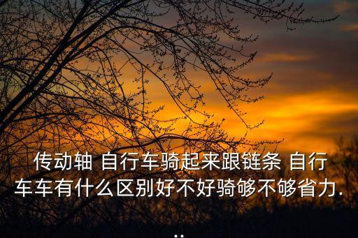  傳動軸 自行車騎起來跟鏈條 自行車車有什么區(qū)別好不好騎夠不夠省力...