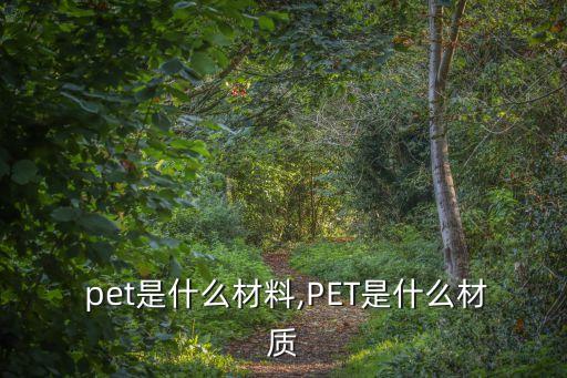  pet是什么材料,PET是什么材質