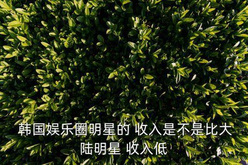 韓國藝人收入,韓國藝人收入水平不如中國演員