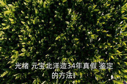  光緒 元寶北洋造34年真假 鑒定的方法!