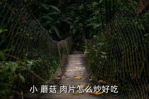 小 蘑菇 肉片怎么炒好吃