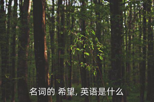 希望英語怎么說,怎么說希望?看這里!