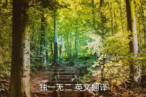 獨一無二英文,獨一無二（新加坡版】