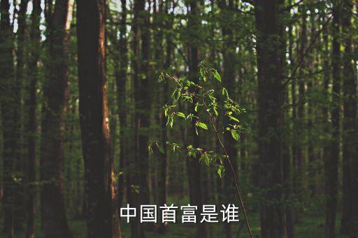 蔡萬才,全球富豪榜李嘉誠排名第14位中國第一