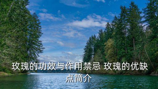 玫瑰,玫瑰禁忌:勿用茶水泡玫瑰花否則會破壞疏肝解郁