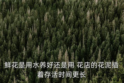 花店圖片,精選新年賀卡!