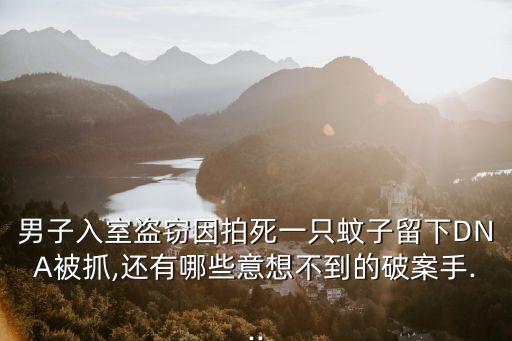 男子入室盜竊因拍死一只蚊子留下DNA被抓,還有哪些意想不到的破案手...
