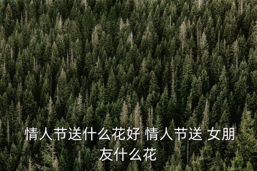  情人節送什么花好 情人節送 女朋友什么花