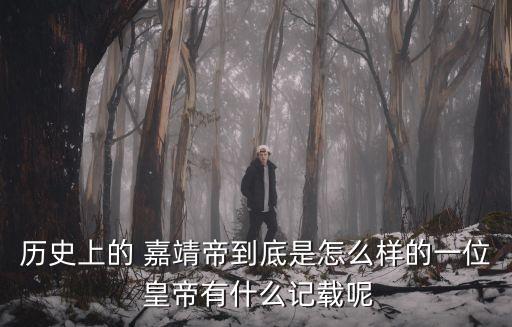 歷史上的 嘉靖帝到底是怎么樣的一位 皇帝有什么記載呢