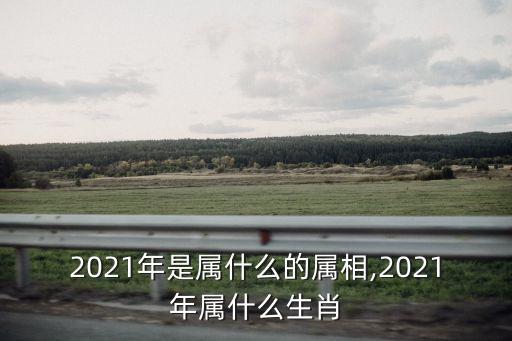 2021年是屬什么的屬相,2021年屬什么生肖