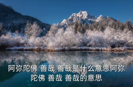善哉善哉,善哉:投資對流行不好?