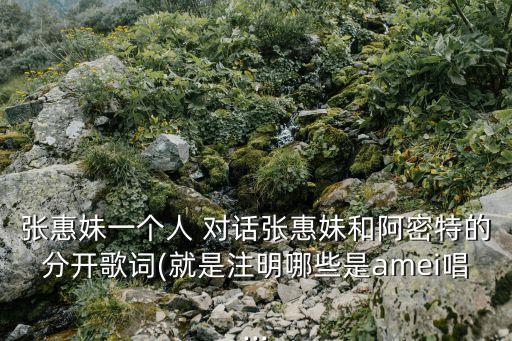 一個人對話,一個人對話:張惠妹和誰唱的?