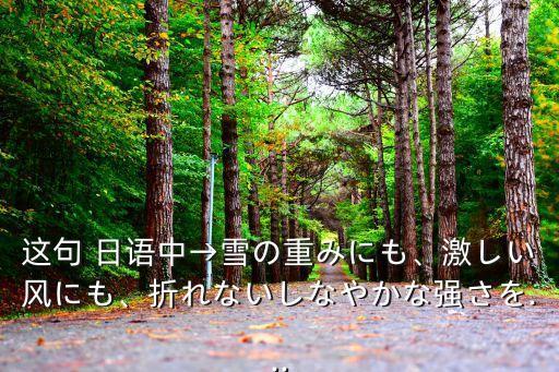日語美文,如何突破日語文法?如何快速提高口語水平?