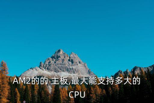 am2主板,兼容多少顆芯片?