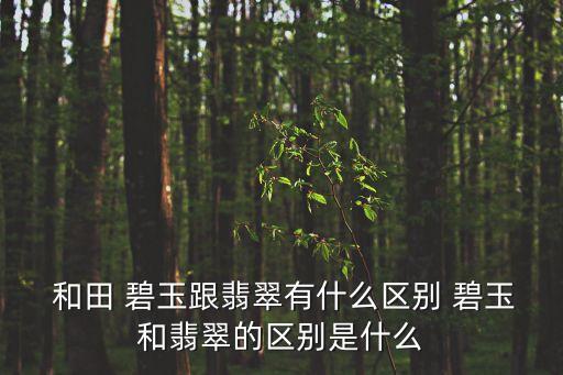  和田 碧玉跟翡翠有什么區別 碧玉和翡翠的區別是什么