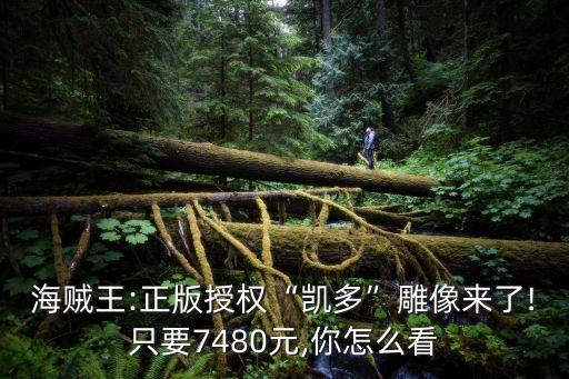 海賊王:正版授權“凱多”雕像來了!只要7480元,你怎么看
