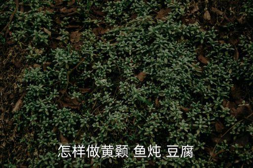 怎樣做黃顙 魚燉 豆腐